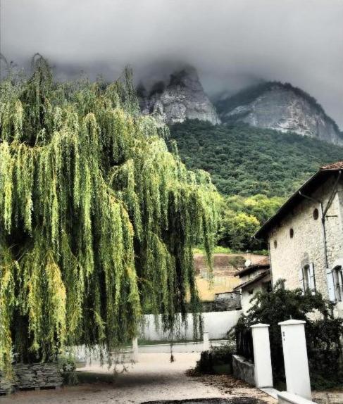 Chambres De La Ferme Du Brocey 克罗勒 外观 照片